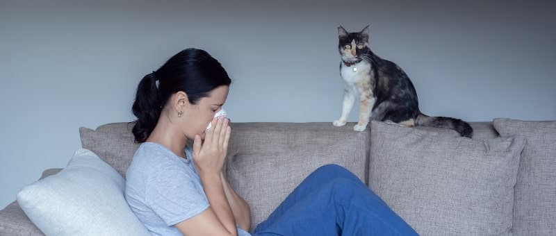 Young woman sitting on sofa sneezing with a cat nearby Home